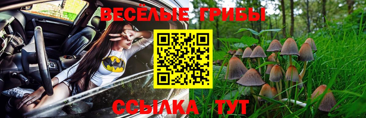 Галлюциногенные грибы мухоморы  купить закладку  Медногорск  Вход с VPN 