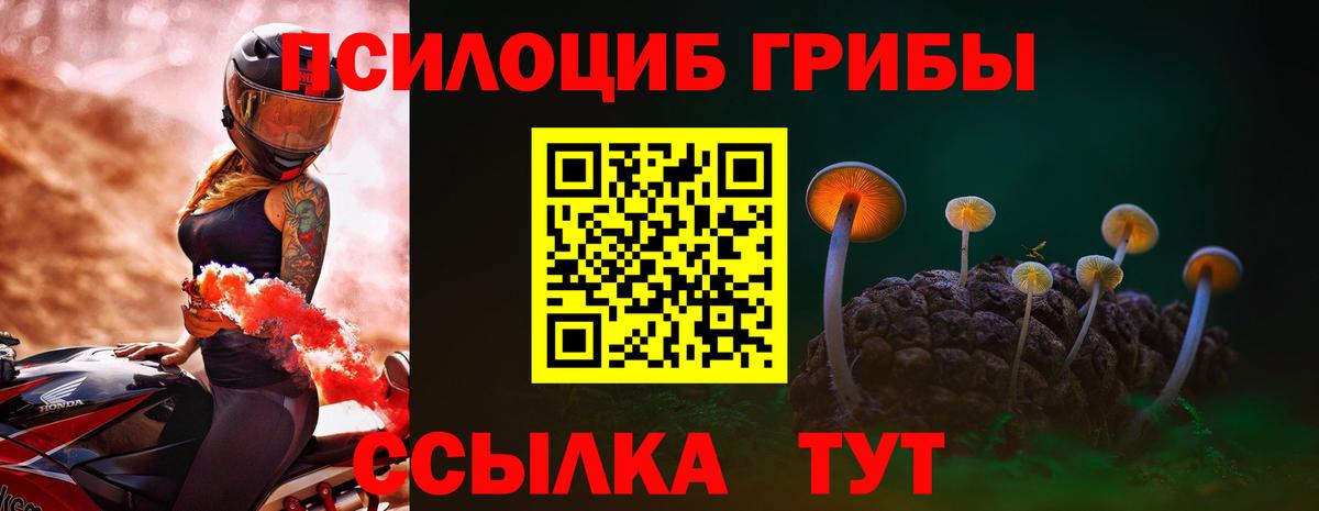 Галлюциногенные грибы мицелий Медногорск